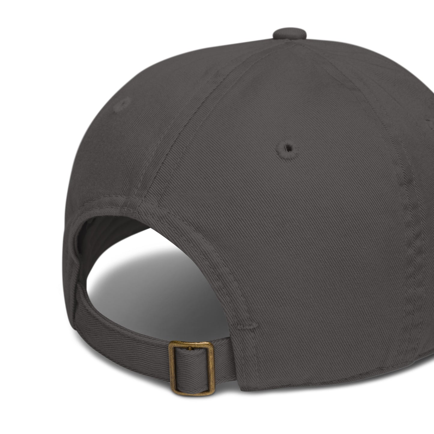 Organic Baseball Cap (Econscious EC7000)