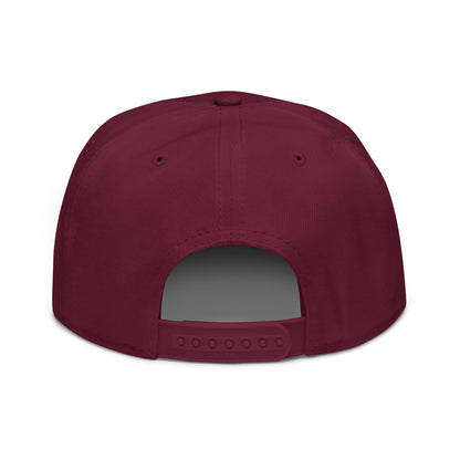 Snapback (10 Pack, One Color Design)