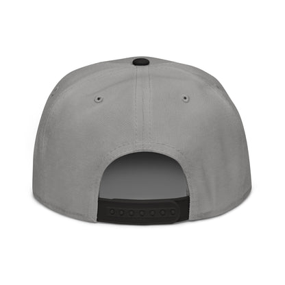 Snapback (15 Pack, One Color Design)