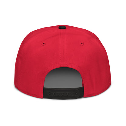 Custom Snapback Hat (Unlimited Design Colors)